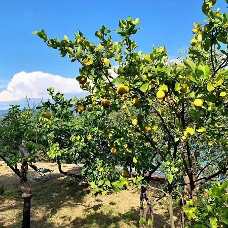 Casa Erika Villa Porto Venere