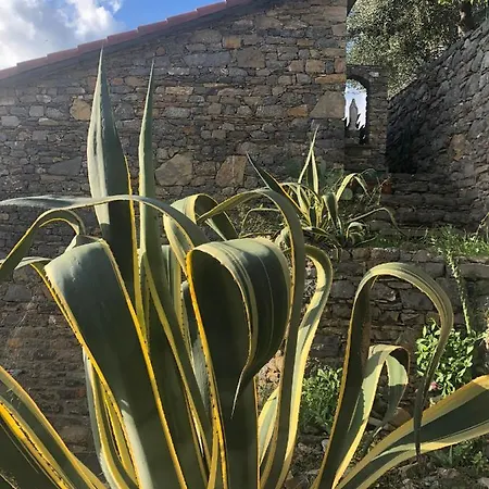 Casa Erika Porto Venere